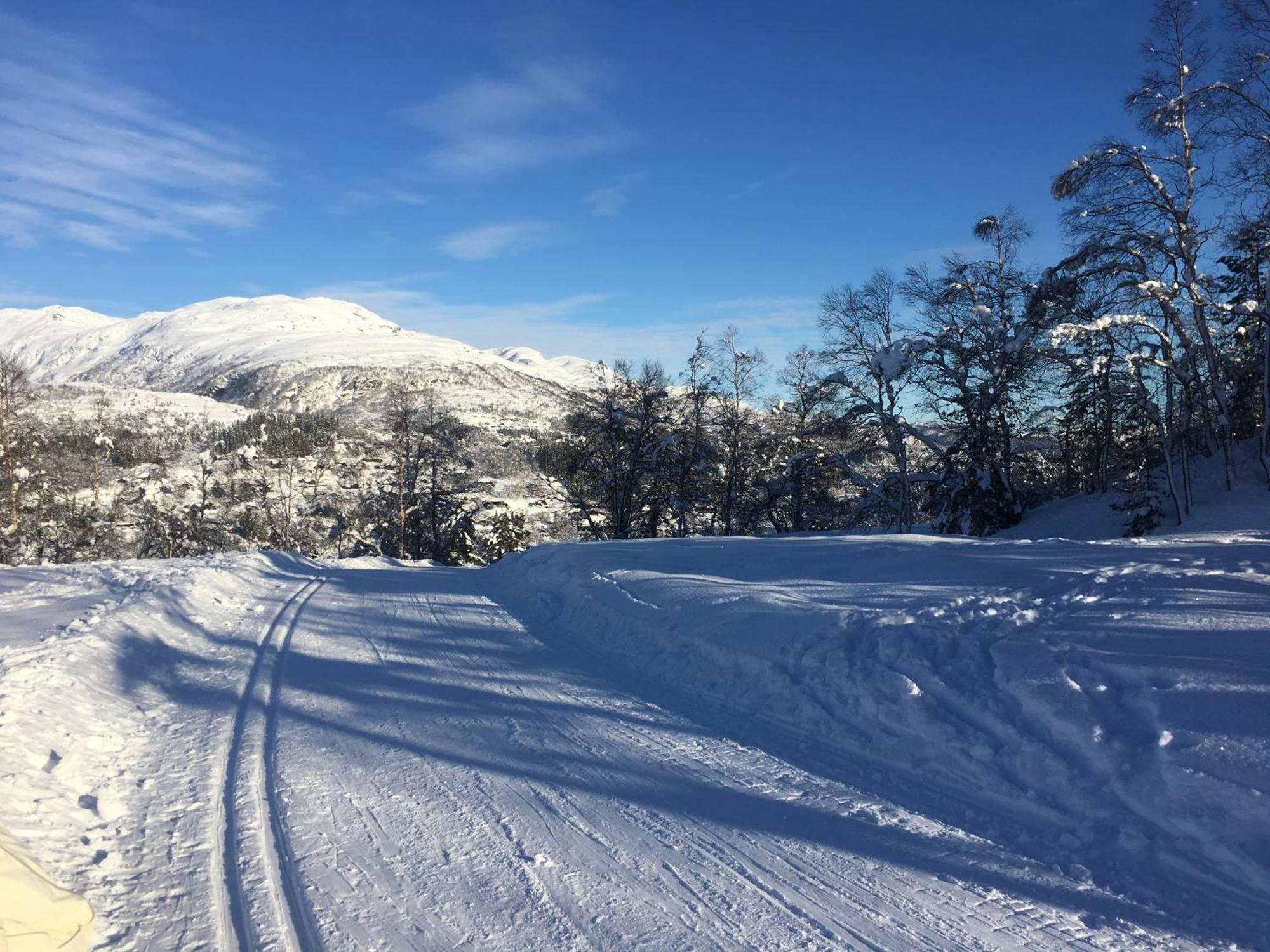 Kvamskogen & Hardanger Holliday Homes Norheimsund Esterno foto