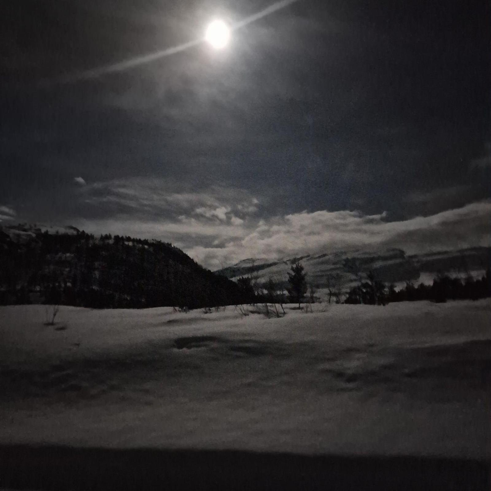 Kvamskogen & Hardanger Holliday Homes Norheimsund Esterno foto