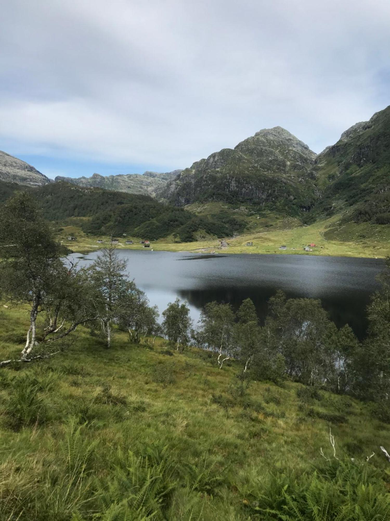 Kvamskogen & Hardanger Holliday Homes Norheimsund Esterno foto