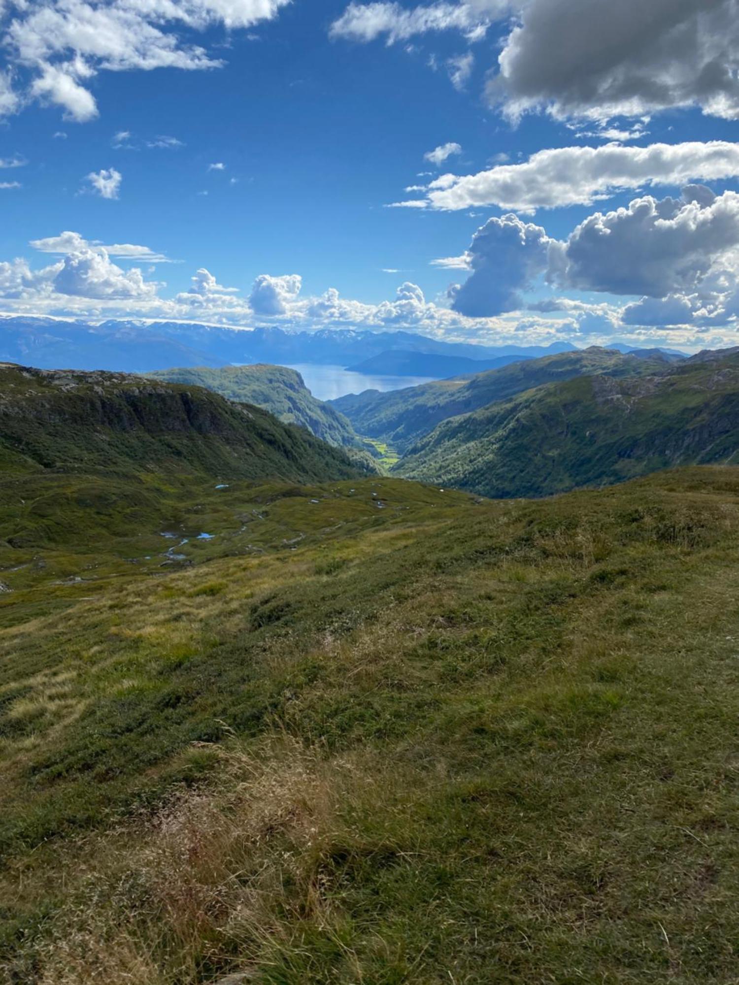 Kvamskogen & Hardanger Holliday Homes Norheimsund Esterno foto